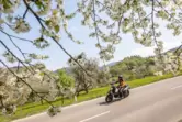 Ein Motorradfahrer fährt auf einer Landstrasse