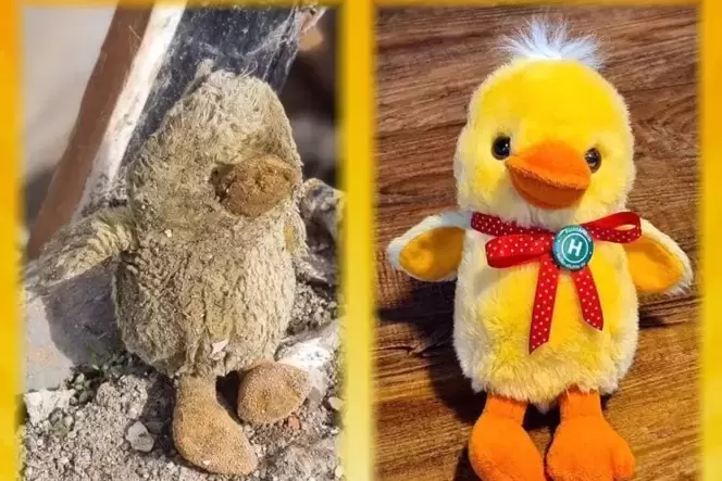 Vorher und nachher: Die Ente ist aus dem Schlamm gerettet worden.