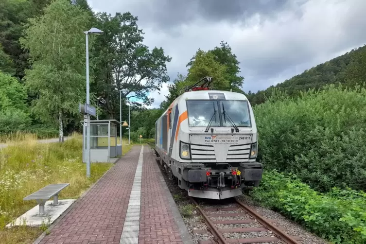 Gut geeignet für Wieslauterbahn-Holzzüge wäre eine Spezial-Version des Vectron von Siemens (Baureihe 248), eine E-Lok mit Zusatz