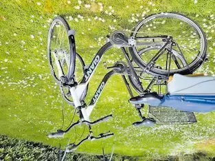 Tourenräder, 28 Zoll, 7-Gang Shimano, Rücktritt, guter Zustand, je € 240
