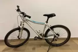 Wer kennt dieses Fahrrad? Die Polizei ermittelt. 