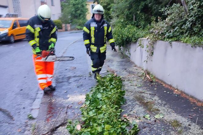 Mit der Kettensäge zerkleinerten die Feuerwehrleute umgeknickte Bäume, hier in der Wachenheimer Straße.