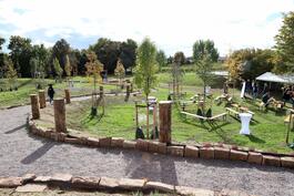 Blick auf das Klima-Arboretum in Flemlingen, das vor fast zwei Jahren angelegt wurde. 