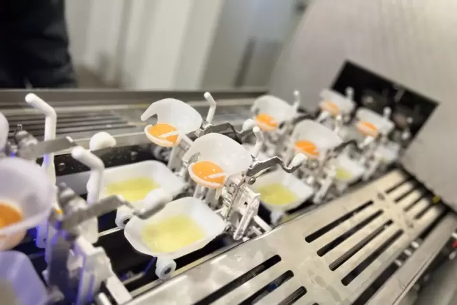 Impression der Produktionsmaschine der Agrodorf GmbH: Hier werden die Eier aufgeschlagen und in Eiklar und Eigelb getrennt.