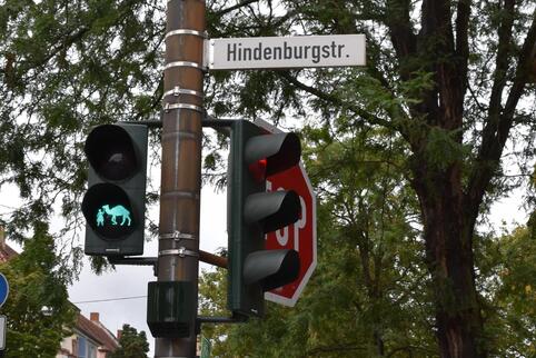 Die Hindenburgstraße wird bald „Am Zoo“ heißen. 