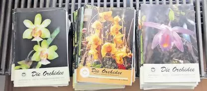 von der Deutschen Orchideen Gesellschaft, Jahrgänge 1981 bis 2007; für 4,- € pro Jahrgang (6 Hefte) an Selbstabholer zu verkaufe
