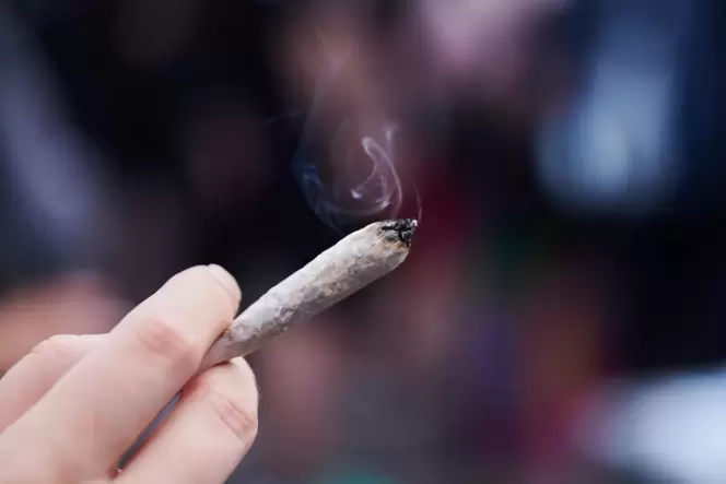 Welche Auswirkungen hat die Legalisierung des Cannabis-Konsums auf die Arbeit der Dürkheimer Polizei?