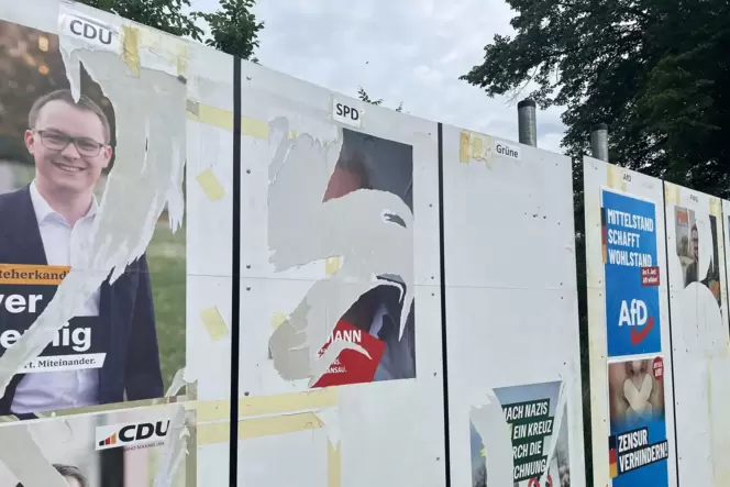 Zerstörte Wahlplakate in Maximiliansau.