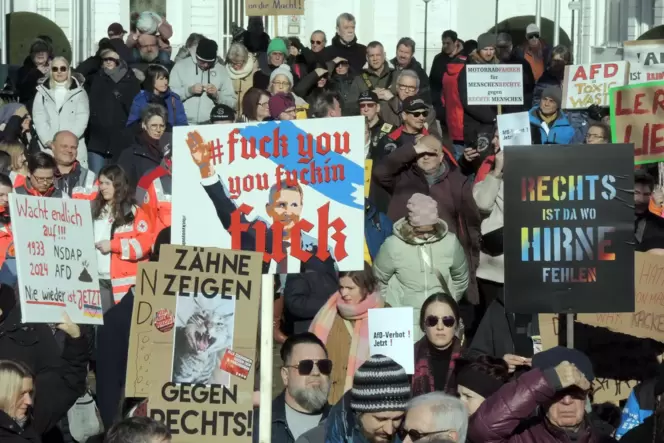 Mit gut 800 Teilnehmern gehörte die Zweibrücker Innenstadt am 27. Januar den Demonstranten für Freiheit und Demokratie (Foto). D
