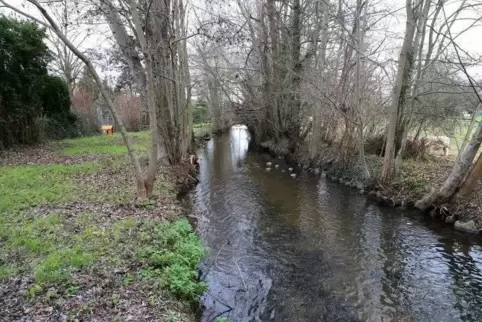 Der Rehbach in Iggelheim soll verlegt werden. Die Pläne dafür sind so gut wie fertig und sollen im Frühjahr zur Genehmigung. 