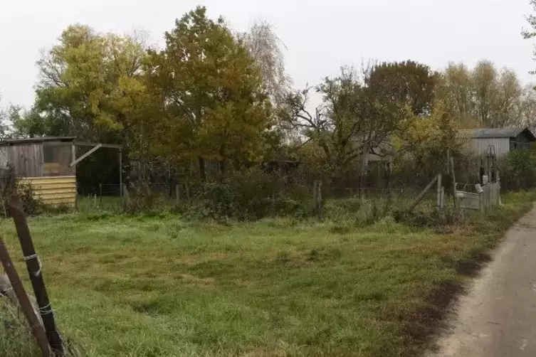 Blick auf einen kleinen Teil des Gebiets Kappenäcker. Dort kommt es immer wieder zu Verstößen gegen den Naturschutz. 