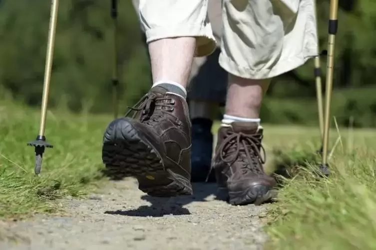 Zwei Naturfreundegruppen in der Region bieten regelmäßig Wandertouren an. 