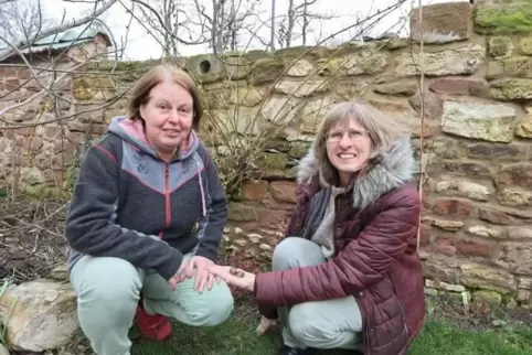 Vorsitzende Susanne Bentz (links) und Stellvertreterin Anita Bastian vom Nabu Eisenberg-Leiningerland vor einem Neophyten (Forsy