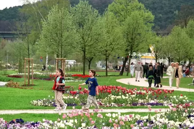 Am Eröffnungstag: Tulpen und Stiefmütterchen so weit das Auge reicht.