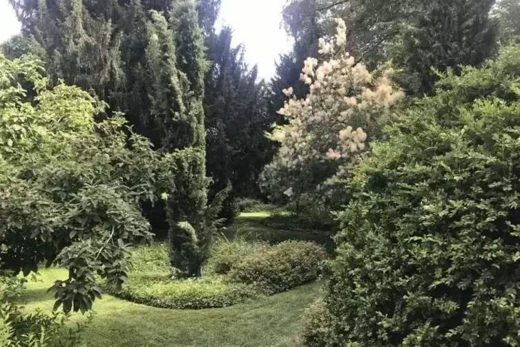 Blick in den Landschaftsgarten: Johann Michael Zeyher gestaltete in Schwetzingen Teile des Garten im englischen Stil um, der im 