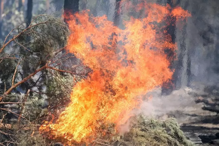 Das Feuer breitete sich rasend schnell aus.