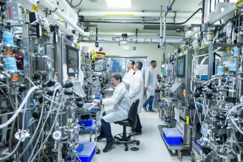 Ein Blick in die Produktionsforschung bei Roche: Der Schweizer Konzern produziert derzeit auf Hochtouren Tests, die Antikörper g