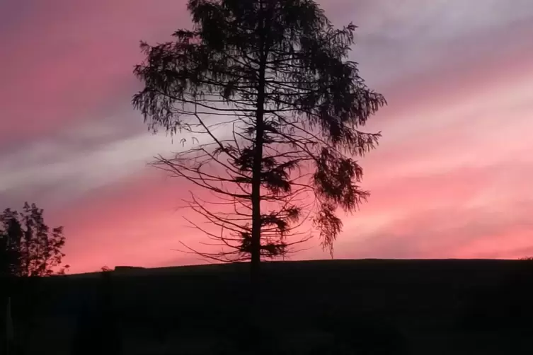 Inge Huber hat den Abendhimmel über Reichsthal ...