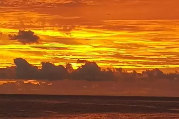 Moll hat sein Foto in die weite Welt geschickt – und Aufnahmen aus São Tomé (Afrika) ... 