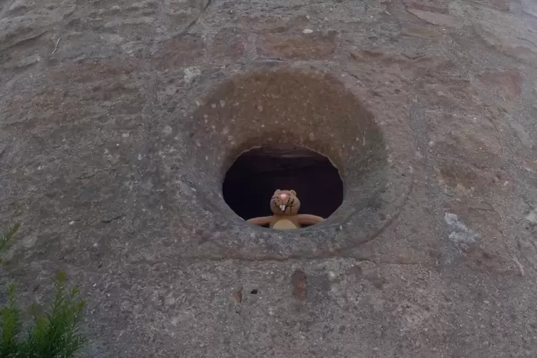 11,5 Meter hoch ist der Wartturm auf dem Schillerhain, aus dem ich gerade aus dem Fenster schaue.