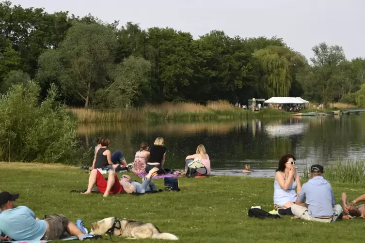 Im Lambsheimer Weiher kann seit Freitagmittag wieder geschwommen werden. 