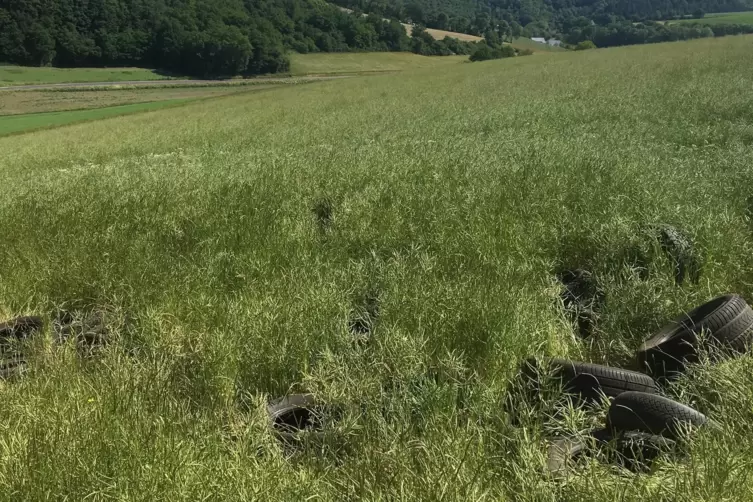 Die Umweltsünder haben die Reifen in einem Rapsfeld sowie entlang eines Wirtschaftsweges bei Waldgrehweiler abgelegt.