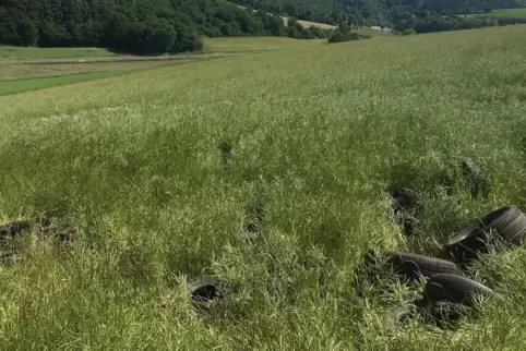 Die Umweltsünder haben die Reifen in einem Rapsfeld sowie entlang eines Wirtschaftsweges bei Waldgrehweiler abgelegt.