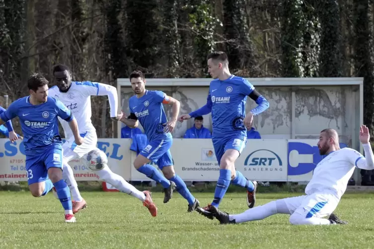 Der FSV Schifferstadt (blaue Trikots) profitiert als Tabellenzweiter nach der Quotienten-Regelung vom Votum der Klubs. Er steigt