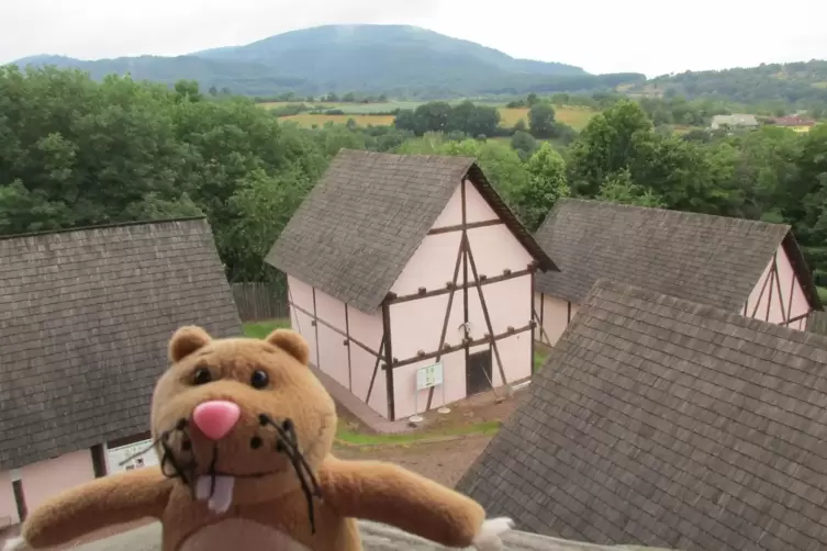 Vom Aussichtsturm hat Nils einen Blick auf die Keltenhäuser und den Donnersberg.