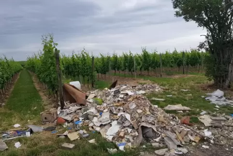 Erschreckend: Jemand hat auf dem Palmberg Bauschutt abgeladen. 