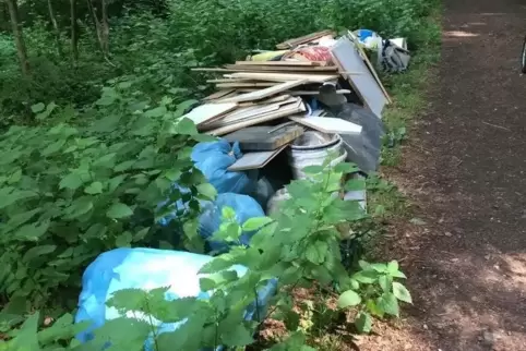 Jede Menge Bauschutt haben Wanderer auf einem Waldweg zwischen Alter Schmelz und der Papierfabrik Schleipen entdeckt.