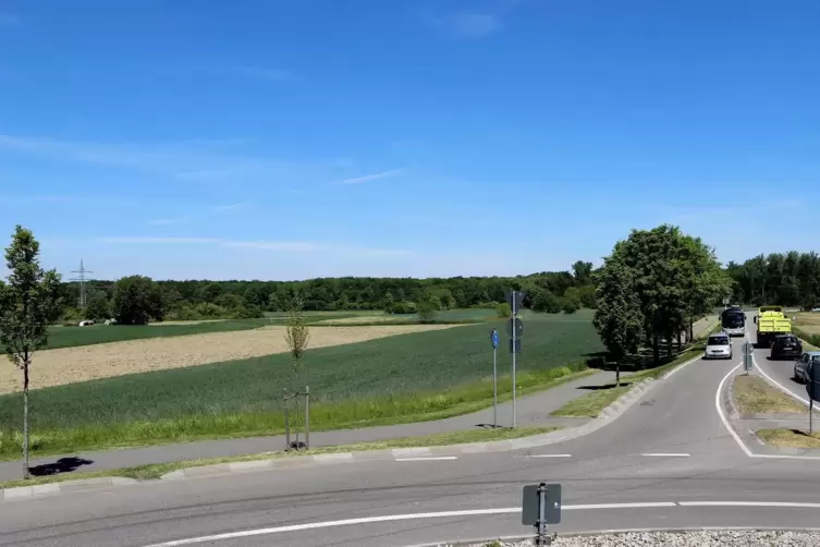 Im Feld beim Kreisel in Hagenbach könnte das Gewerbegebiet entstehen. 