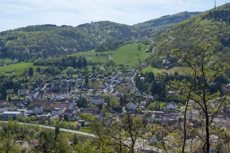 Die Stadt Wolfstein braucht neues bauland.