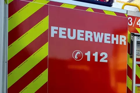 Zweieinhalb Stunden waren die Feuerwehrleute auf der A 63 im Einsatz. 