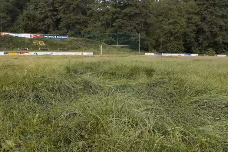 Das frühere Aalbachstadion bildet den Mittelpunkt des künftigen Campingplatzes.