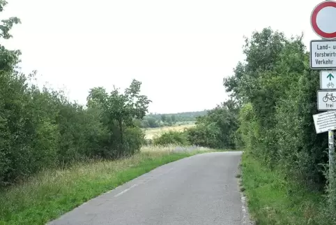 Der Radweg von Kirchheimbolanden nach Dannenfels ist Teil des Radwegenetzes der Verbandsgemeinde.