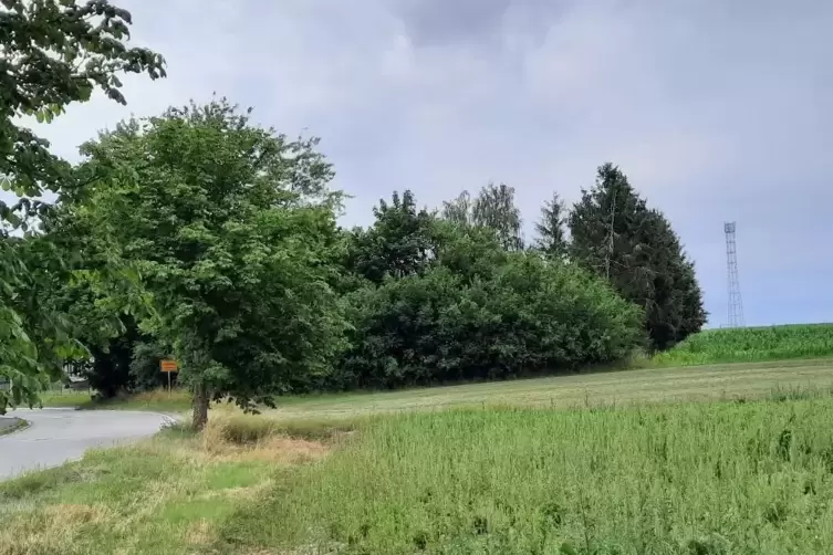 Das Gelände „Auf dem Kälbling“ am Bottenbacher Ortseingang von Bottenbach soll 32 Bauplätzen bieten. 