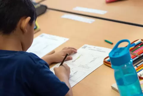 In den Ferien Stoff nachholen: Um Schülern den Start ins neue Schuljahr zu erleichtern, wird die Sommerschule angeboten. 