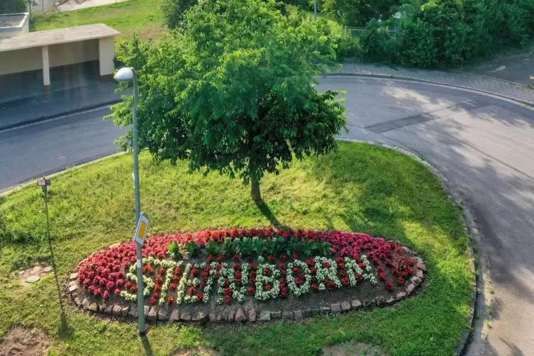 So schmuck empfängt Steinborn seine Besucher.