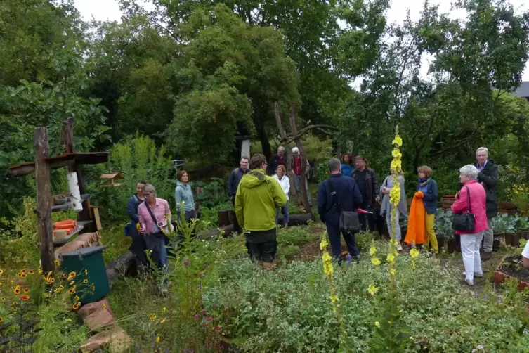 Viel Grün: Die Pflanzen im Modell-Schulgarten – hier bei der Eröffnung – sollen einen Wiedererkennungswert für Kinder haben.