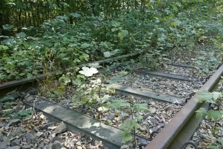 Die Gleise der Strecke Germersheim-Landau bei Hochstadt. 