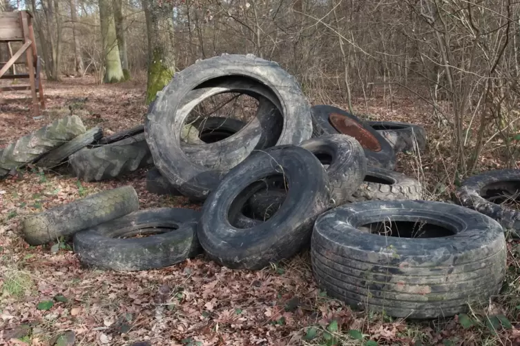 Ob Reifen im Wald, sonstiger Müll oder ein umgestürzter Baum, der den Weg blockiert: Mit der „Waldecho-App“ können Problemstelle