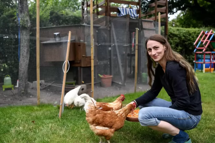 Hühner laufen durch den Garten der Hühnerhalterin Vanessa Janßen. 