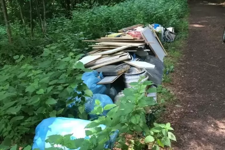 Bauschutt haben Wanderer auf einem Waldweg zwischen Alter Schmelz und der Papierfabrik Schleipen entdeckt.