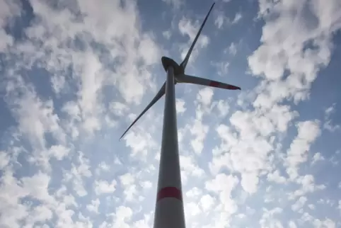 Noch ist nicht ganz klar, ob ein Windpark im Otterberger Wald entstehen wird.
