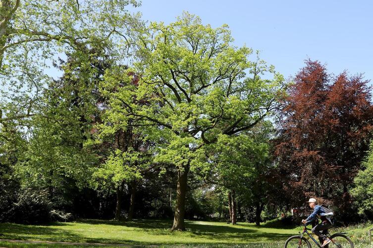 Radler im Goethepark ausgeraubt Landau DIE RHEINPFALZ