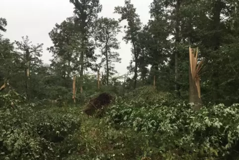 Unübersehbar sind die massiven Schäden, die das Unwetter hier in der Nähe von Gebach angerichtet hat. 