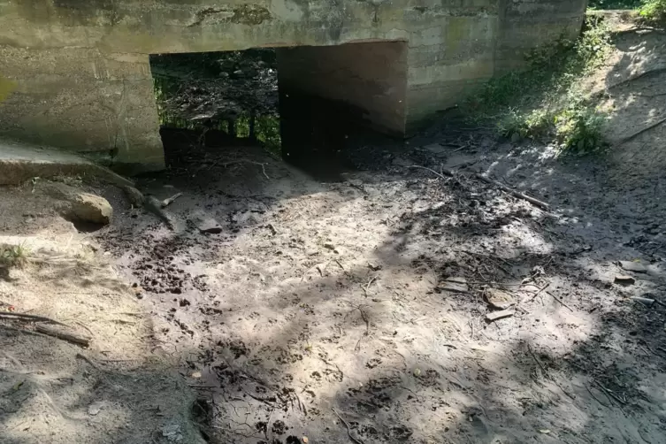 Stand Sonntagnachmittag: Der Schifferstadter Ranschgraben war trocken. Nur ein paar Pfützen gab es im Bereich der Marienkapelle 