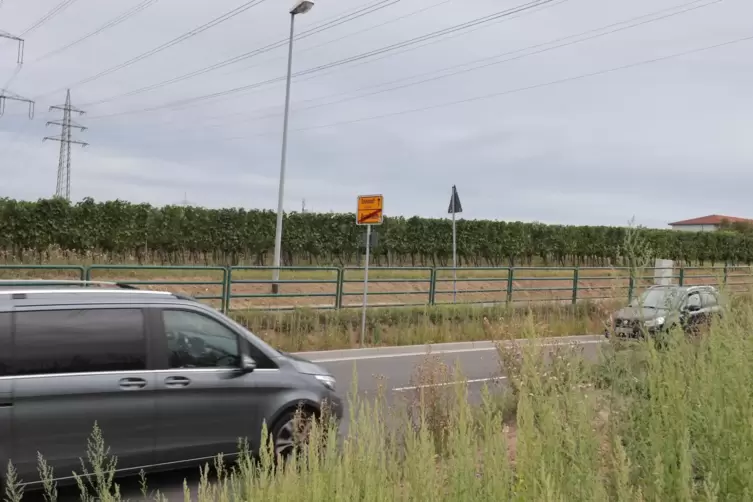 Auf der gegenüberliegenden Straßenseite der L 516 soll das Nahversorgungszentrum Nord in Grünstadt-Asselheim entstehen.