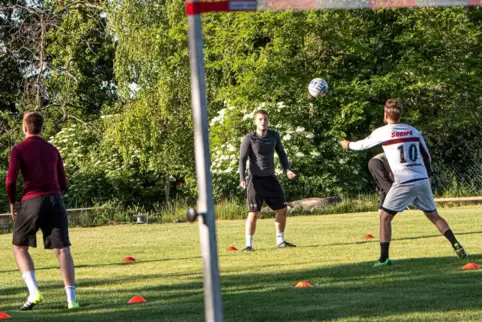 Trainiert haben die Tiefenthaler Faustballer bereits auf ihremneuen Rasenplatz, nun wird erstmals darauf auch ein Zweitliga-Spie